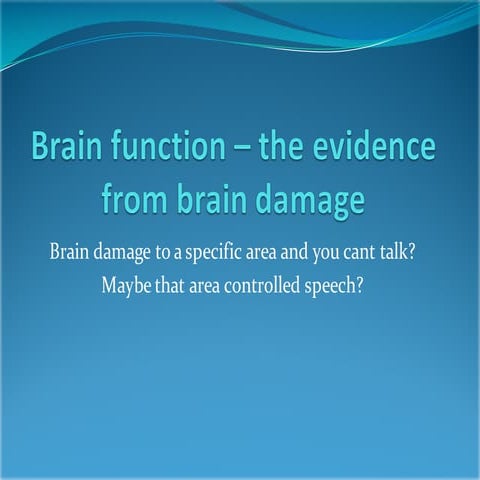 Brain function – the evidence from brain damage