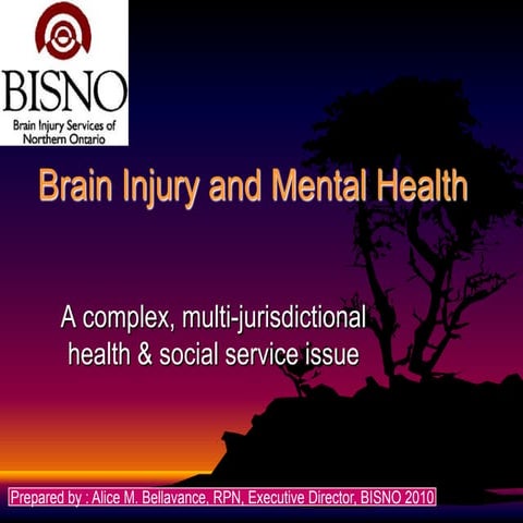 Brain injury and mental health 2010[1].pptx bisno