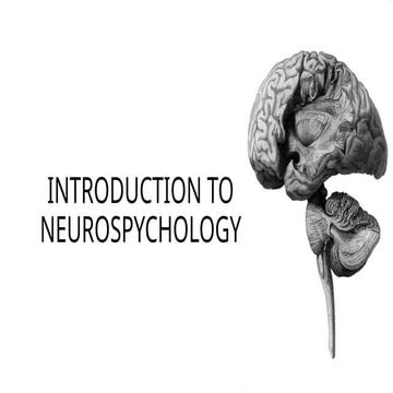 Brain Introduction. Introduction to brain. Neuropsychology | PPTX