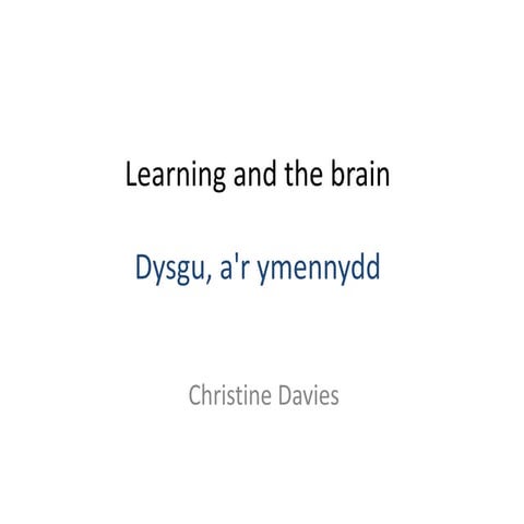 The role of the Brain in learning