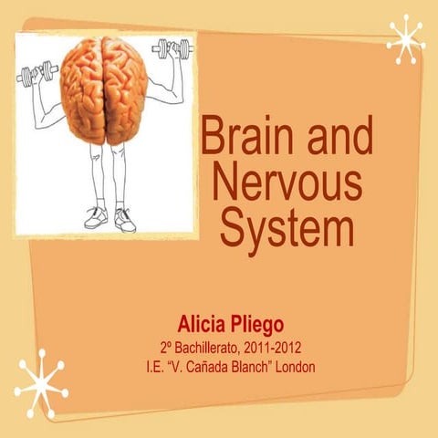 Brain & Nervous System, by Alicia