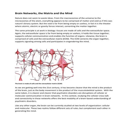 Brain  networks and the matrix and the mind