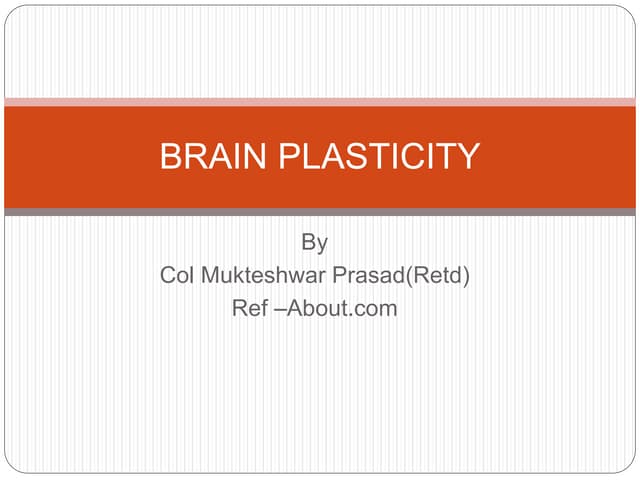 Brain plasticity