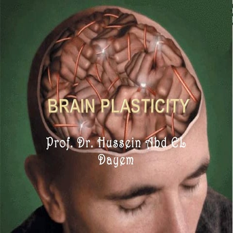 Brain plasticity FOR PEDIATRIC SURGERY