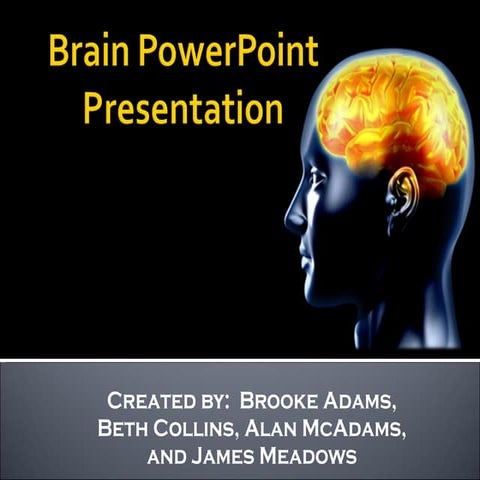 Brain Power Point   Group 2