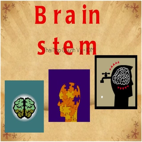 Brain stem