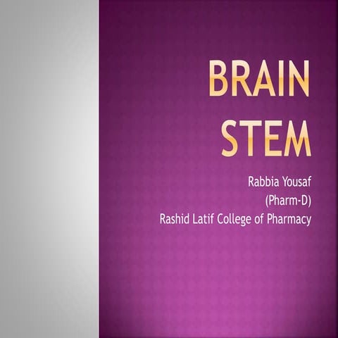 Brain stem