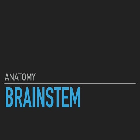 Brainstem
