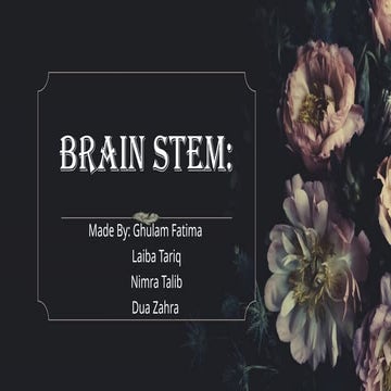 Brain stem lecture of 4 th semester DPT.