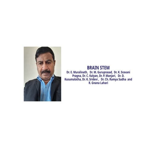 Brain_stem_Medulla oblongata_functions of pons_mid brain