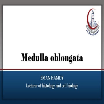 Brainstem - Medulla .pdf histology patha