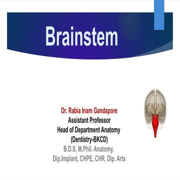 Brainstem by Dr. Rabia Inam Gandapore.pptx