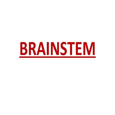 Brainstem demo neww