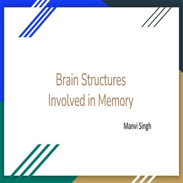 Brain Structures involved in Memory.pptx