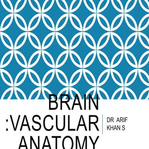 Brain vascular anatomy with MRA and MRI correlation