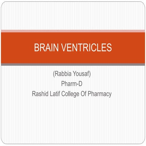 Brain ventricles