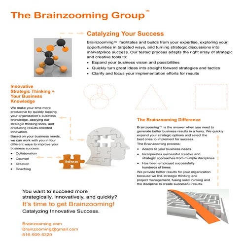 The Brainzooming Group - Capabilities