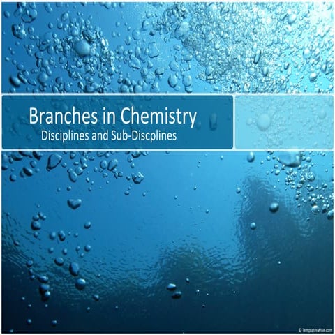 Branches in chemistry