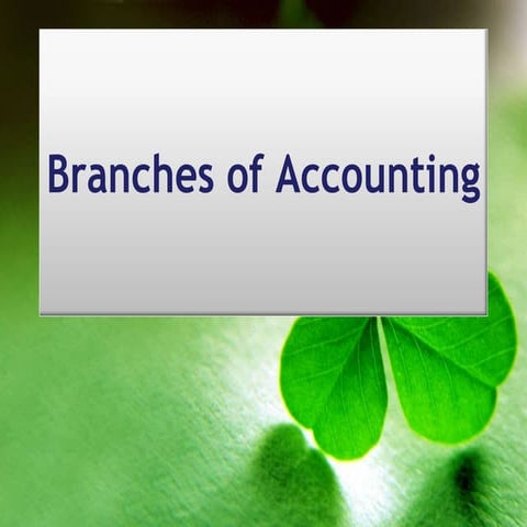 Branches of accounting