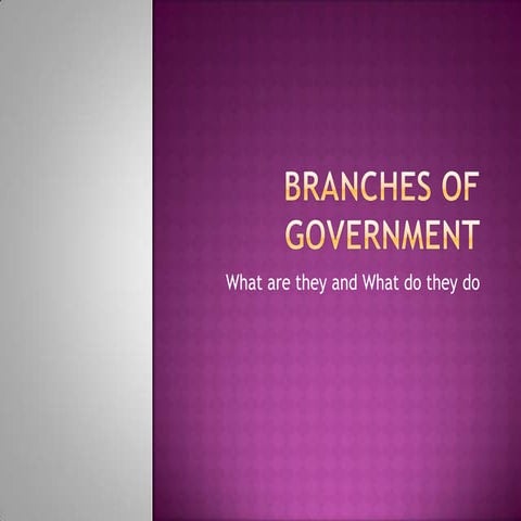 Branches of Government