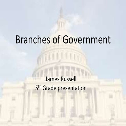 Branches of government presentation