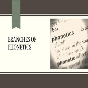 Branches of phonetics