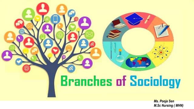 Branches of Sociology (1).pptx
