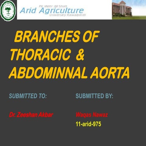Branches of thoracic & abdominal aorta