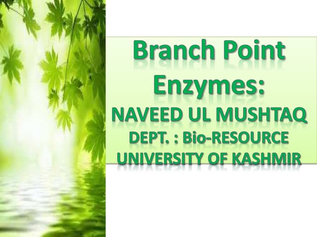 Branch point enzymes,(Phenylalanine Ammonium lyase):Shikkimic acid pathwayCHALCONE  SYNTHASE :Phenylpropanoid pathwayGGPPS(Geranyl Geranyl pyrophosphosynthase):MEVALONIC ACID/MEP  PATHWAY:OTHER BRANCH POINT ENZYMES:PHENYLPROPANOID PATHWAY