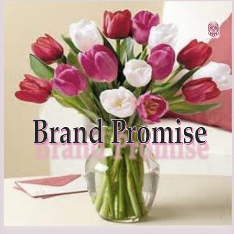 Brand promise 3