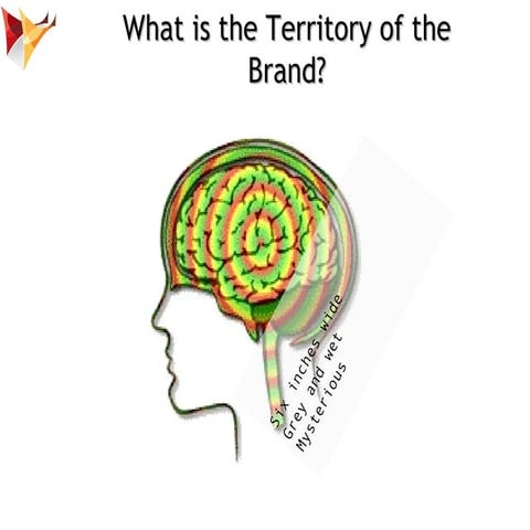 Brand Management Process : Building Big Brands