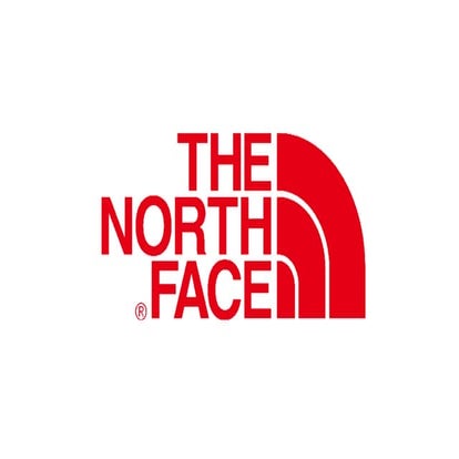 Brand Critique: The North Face