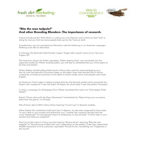 Fresh Dirt Marketing Branding Congruency DIG