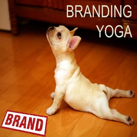 Branding yoga hbr case study