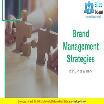 Brand Management Strategies PowerPoint Presentation Slides