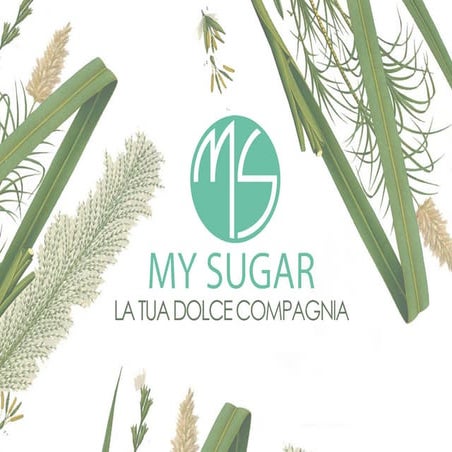 Brand manual Di Elia Carpene e Chiara Lugli per corso visual design 300 h