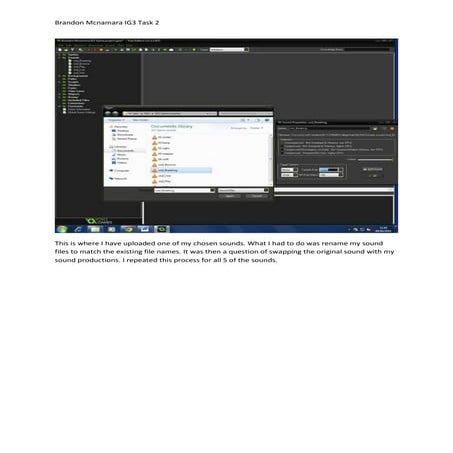 Brandon mcnamara ig3 task 2 annotations