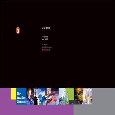 Brand Portfolio 2012