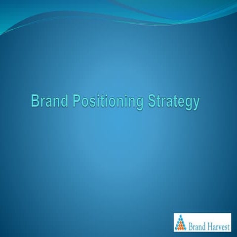 Brand Positioning Strategy