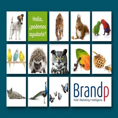 Brandp - Ecosistema Mercado de Consumo