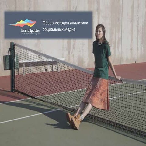 Аналитические отчеты BrandSpotter