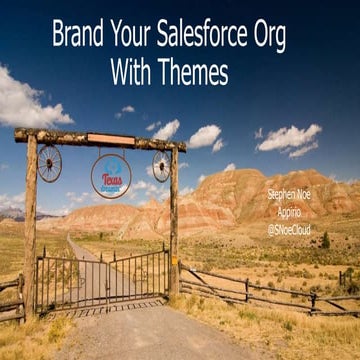 Brand Your Salesforce Org With Themes