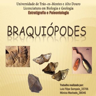 Braquiópodes, Paleontologia. Biolog...