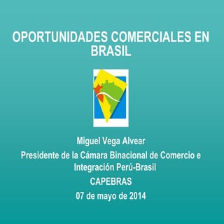 Brasil oportunidades