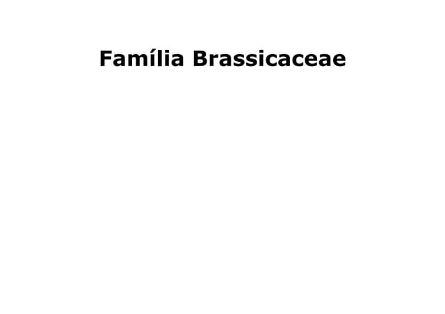 Brassicaceae