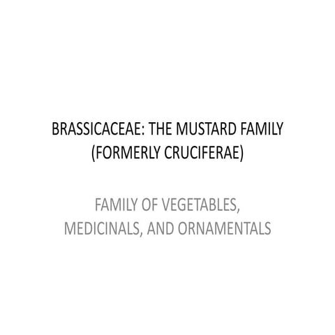 brassicaceae.pdf