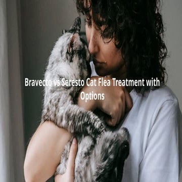 Curated visual reference: Bravecto Vs Seresto Cat Flea Treatment With Options Photo Inspiration