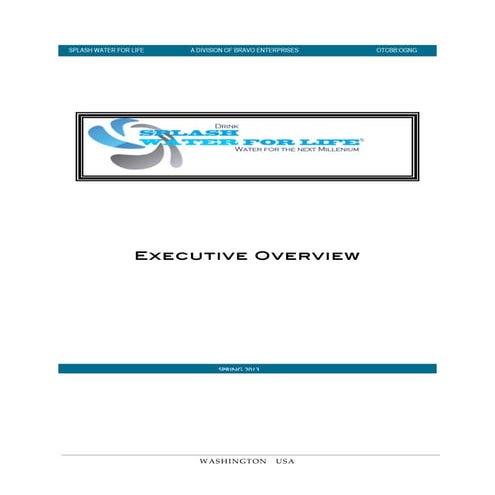 Bravo enterprises - Executive Overview