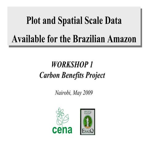 Plot and Spatial Scale Data Available for the Brazilian Amazon