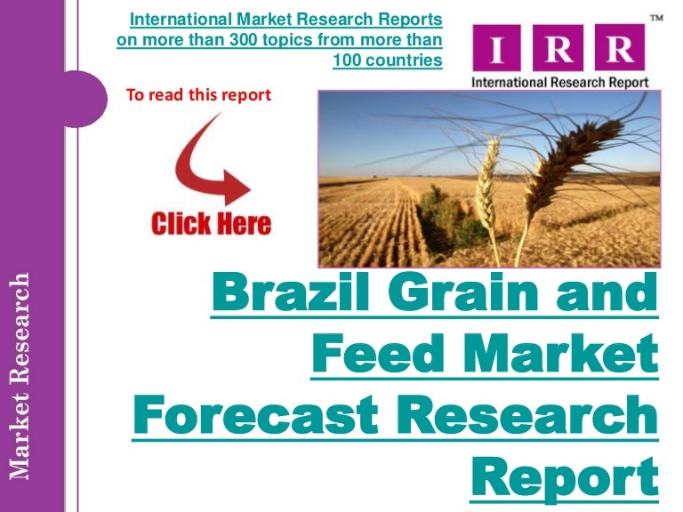 Brazil grain and feed market